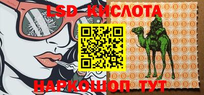 ПСИЛОЦИБИНОВЫЕ ГРИБЫ Коммунар